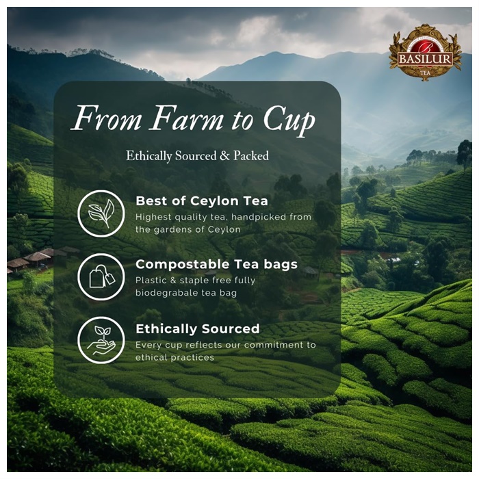 Buy Basilur Masala Chai Orintal Tea Collection Ceylon Black Tea 25 Buy basilur masala chai orintal tea collection ceylon black tea 25